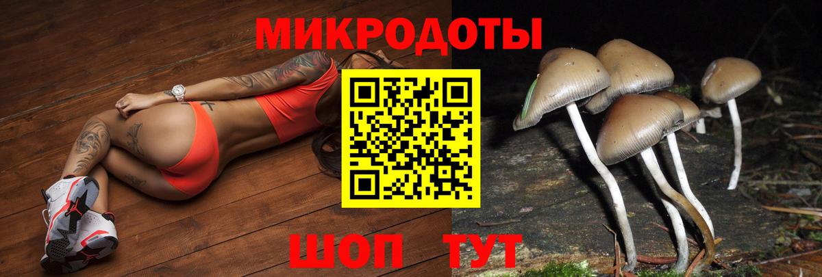 Галлюциногенные грибы прущие грибы  Псилоцибиновые грибы мицелий  Вход с VPN  Орёл 
