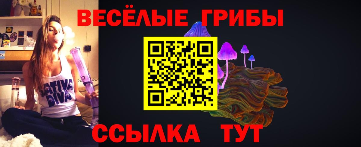 Псилоцибиновые грибы прущие грибы  Вход с VPN  Орёл 